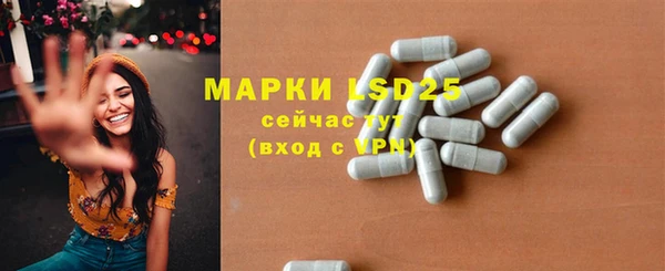 шишки Белокуриха
