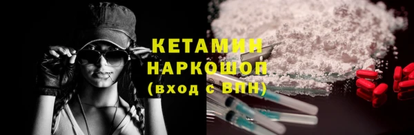 шишки Белокуриха