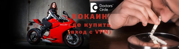 шишки Белокуриха