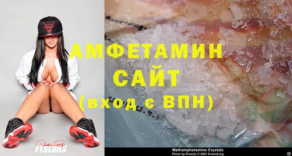 шишки Белокуриха