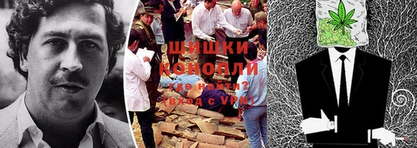 шишки Белокуриха