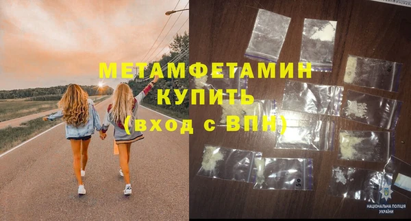 шишки Белокуриха
