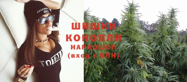 шишки Белокуриха