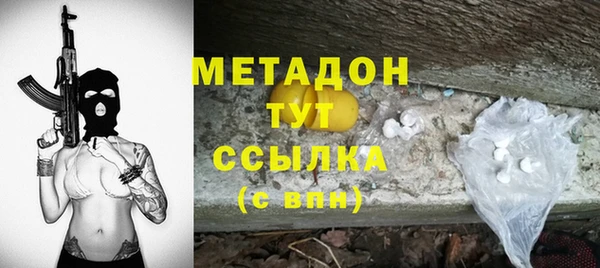 шишки Белокуриха