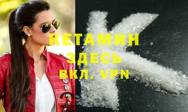 шишки Белокуриха