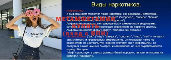 шишки Белокуриха