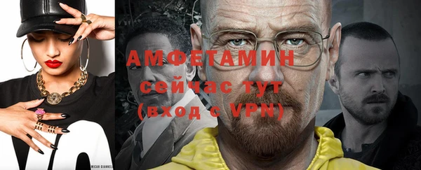 шишки Белокуриха