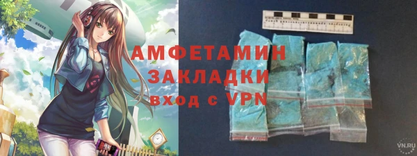 шишки Белокуриха
