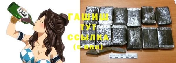 шишки Белокуриха