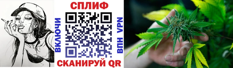 Канабис ГИДРОПОН  цены   Мосальск 